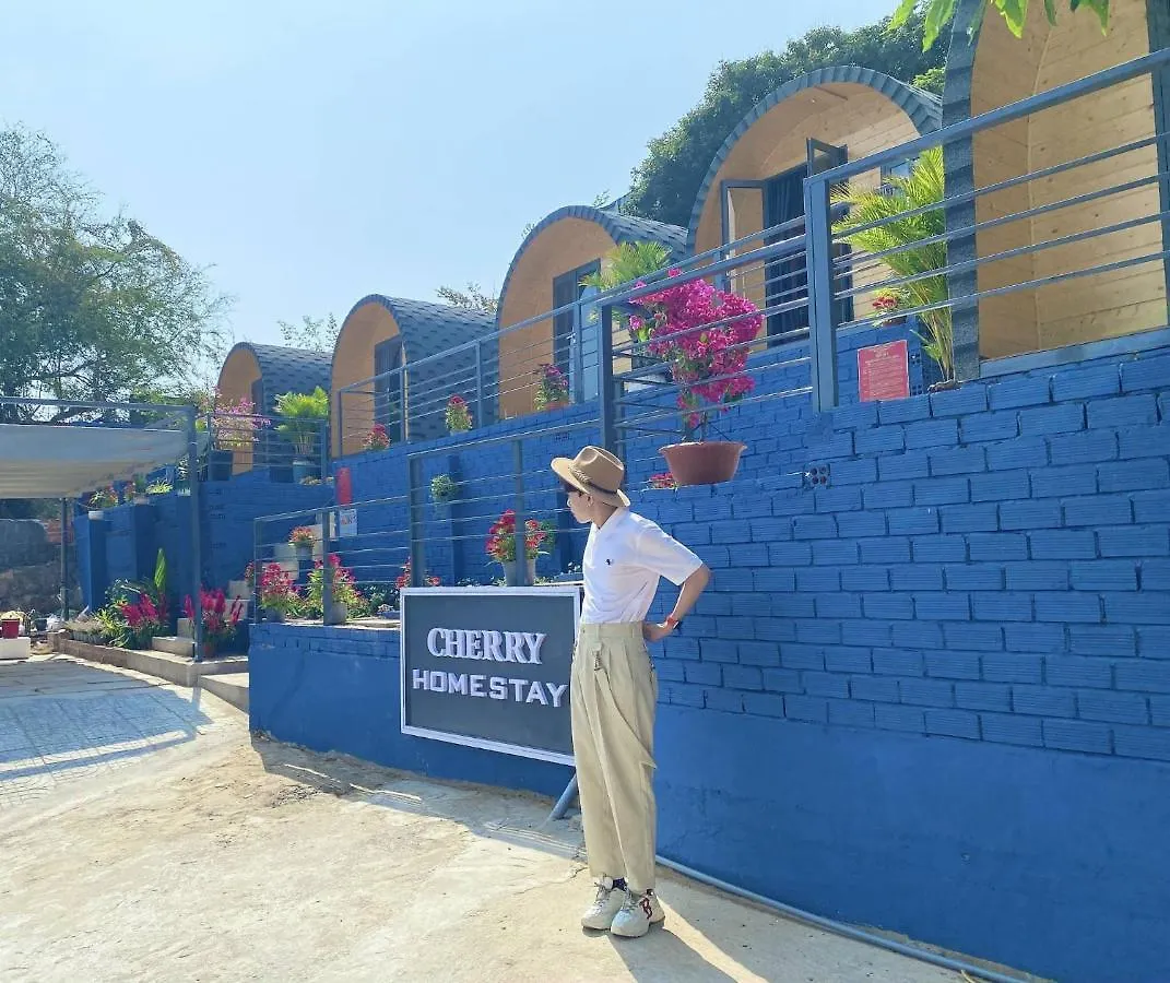 Cherry Homestay Bungalow Vung Tau 0*,  Vietnam